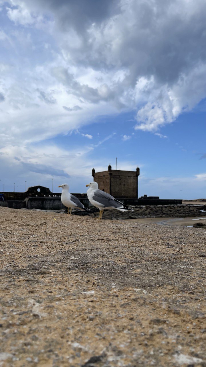 Сказочное Марокко (35/58)