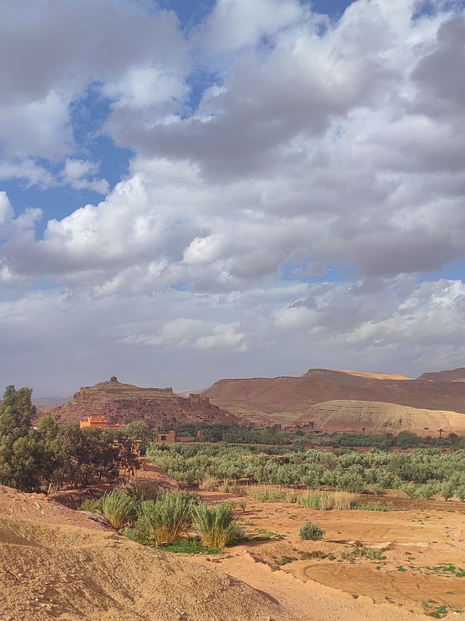 Сказочное Марокко (29/58)