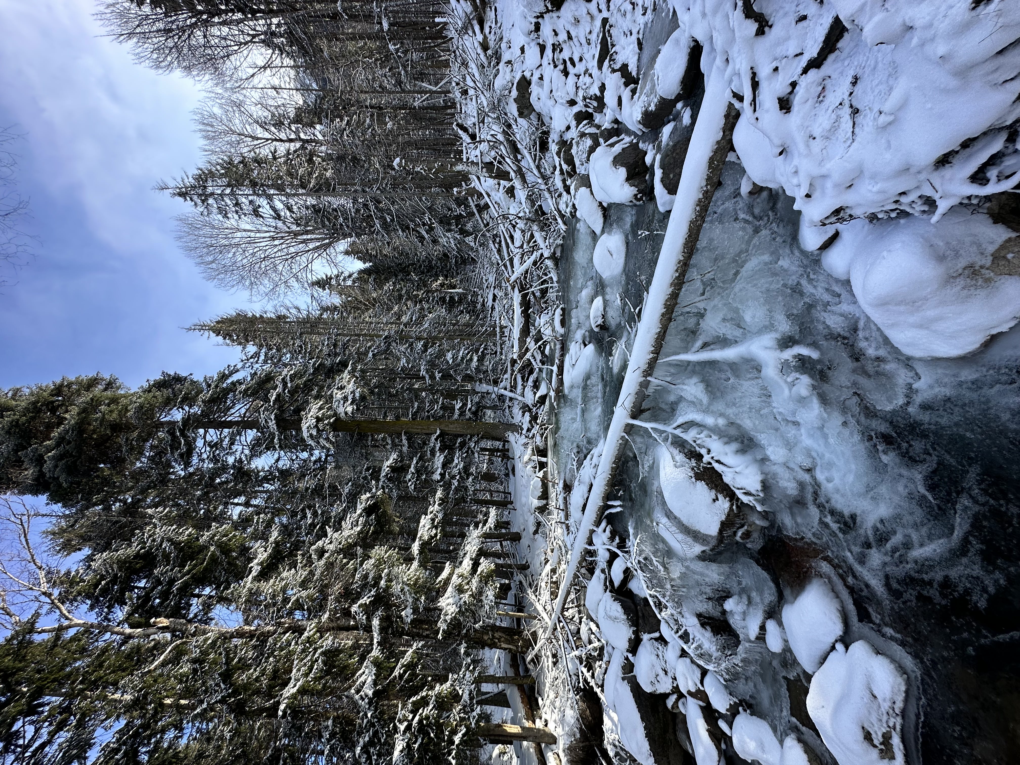Джип-тур в мини-группе на Домбай (17/17)