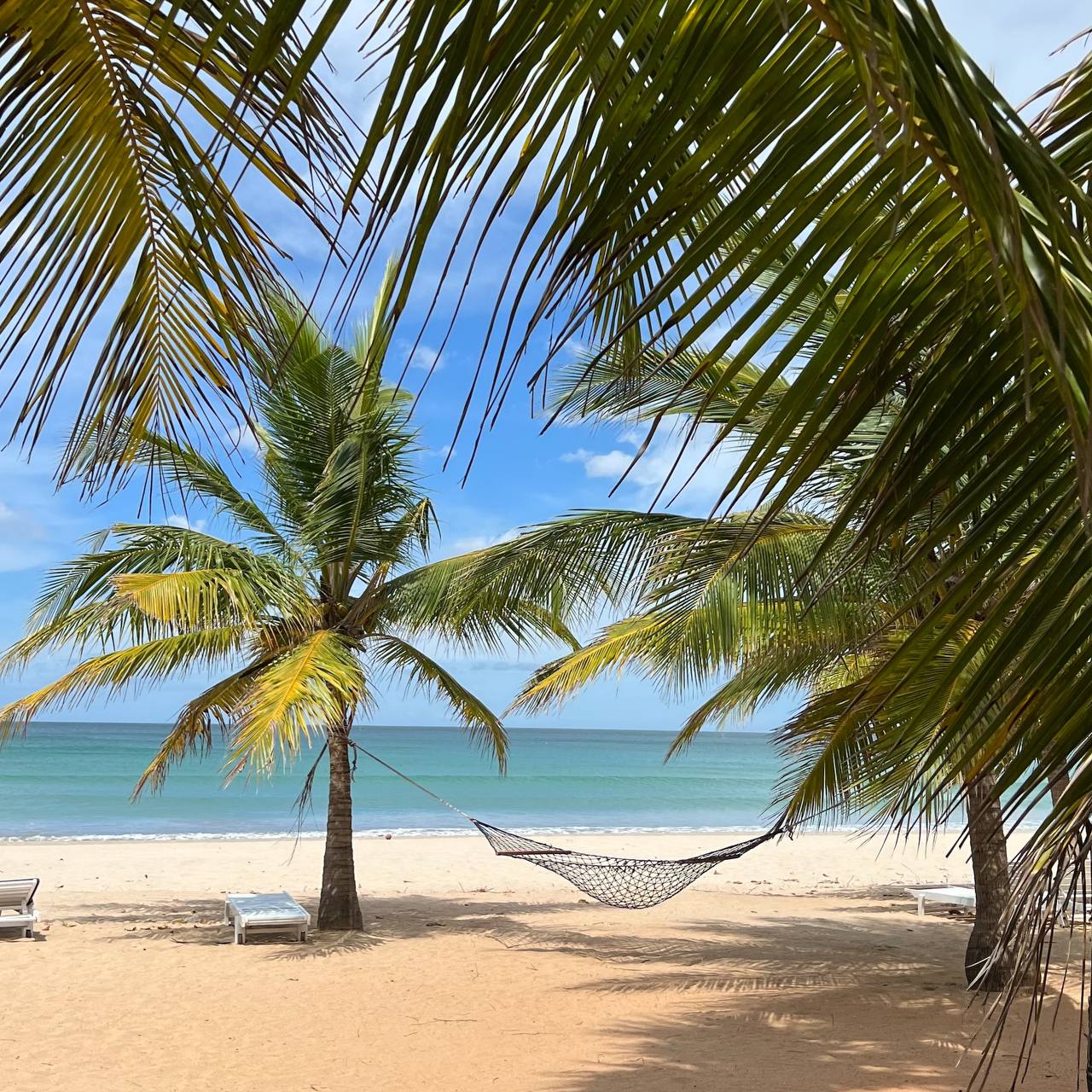 Отдых И Релакс