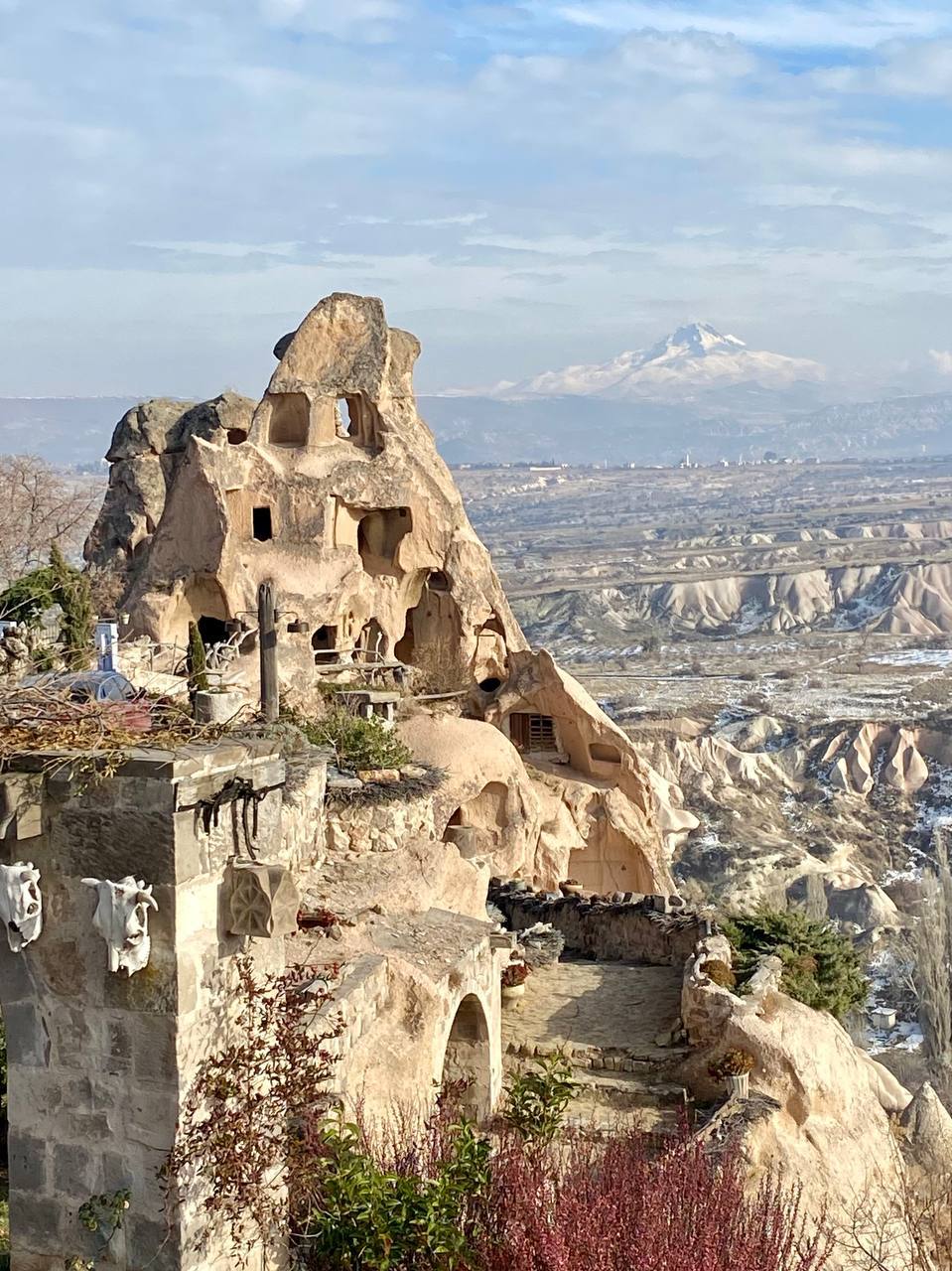 Белая, медовая, розовая, голубиная