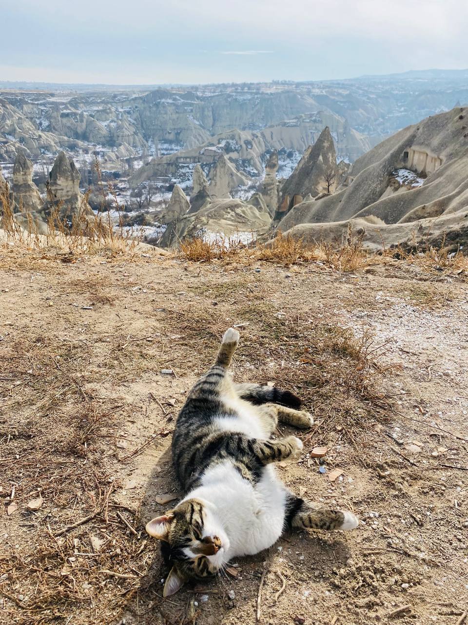 Стамбул и Каппадокия (34/37)