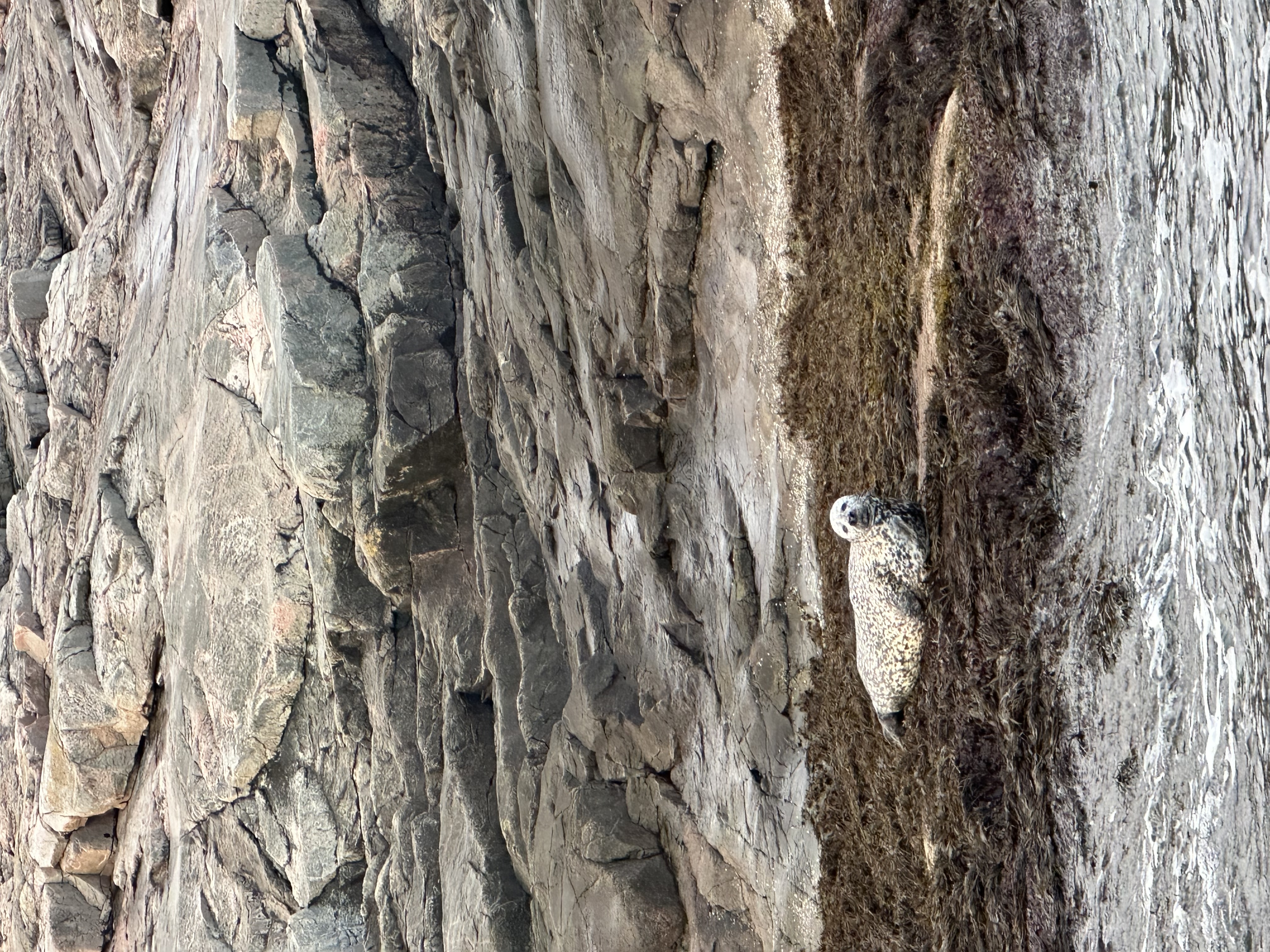 В поисках Китов и Северного сияния: загадочная Териберка (67/67)