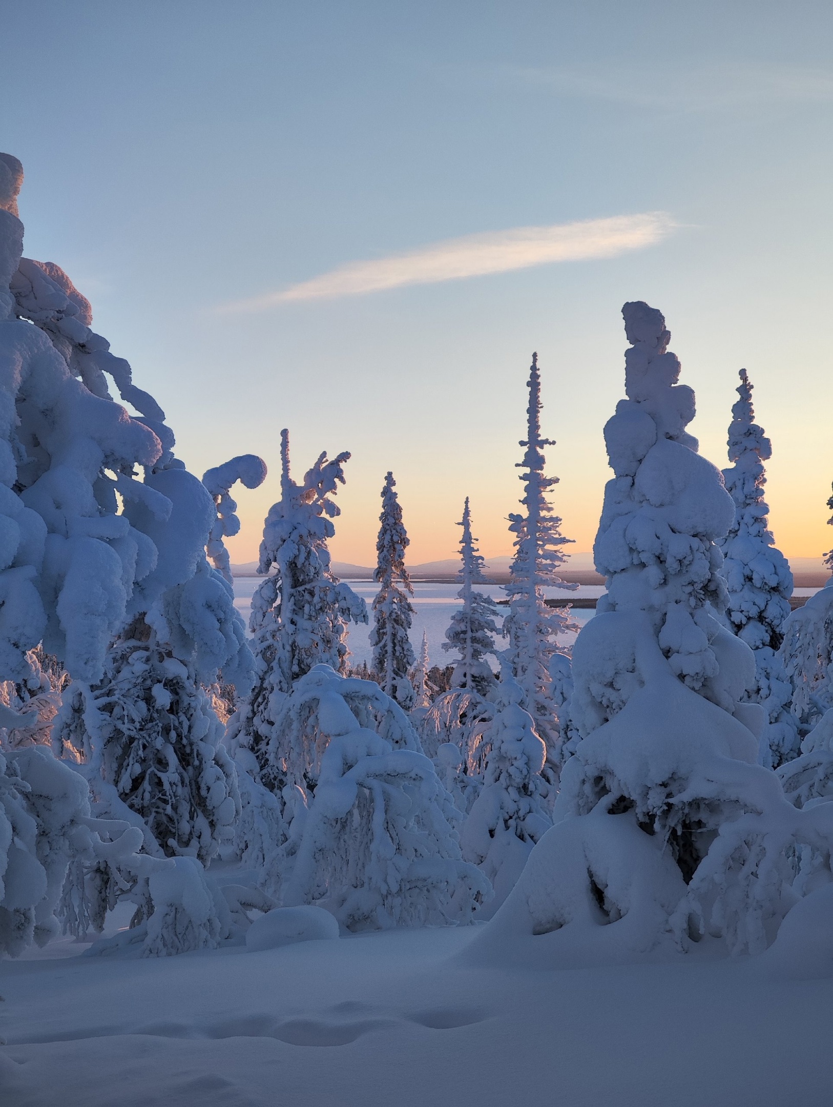 Кировск, Хибины (11/17)