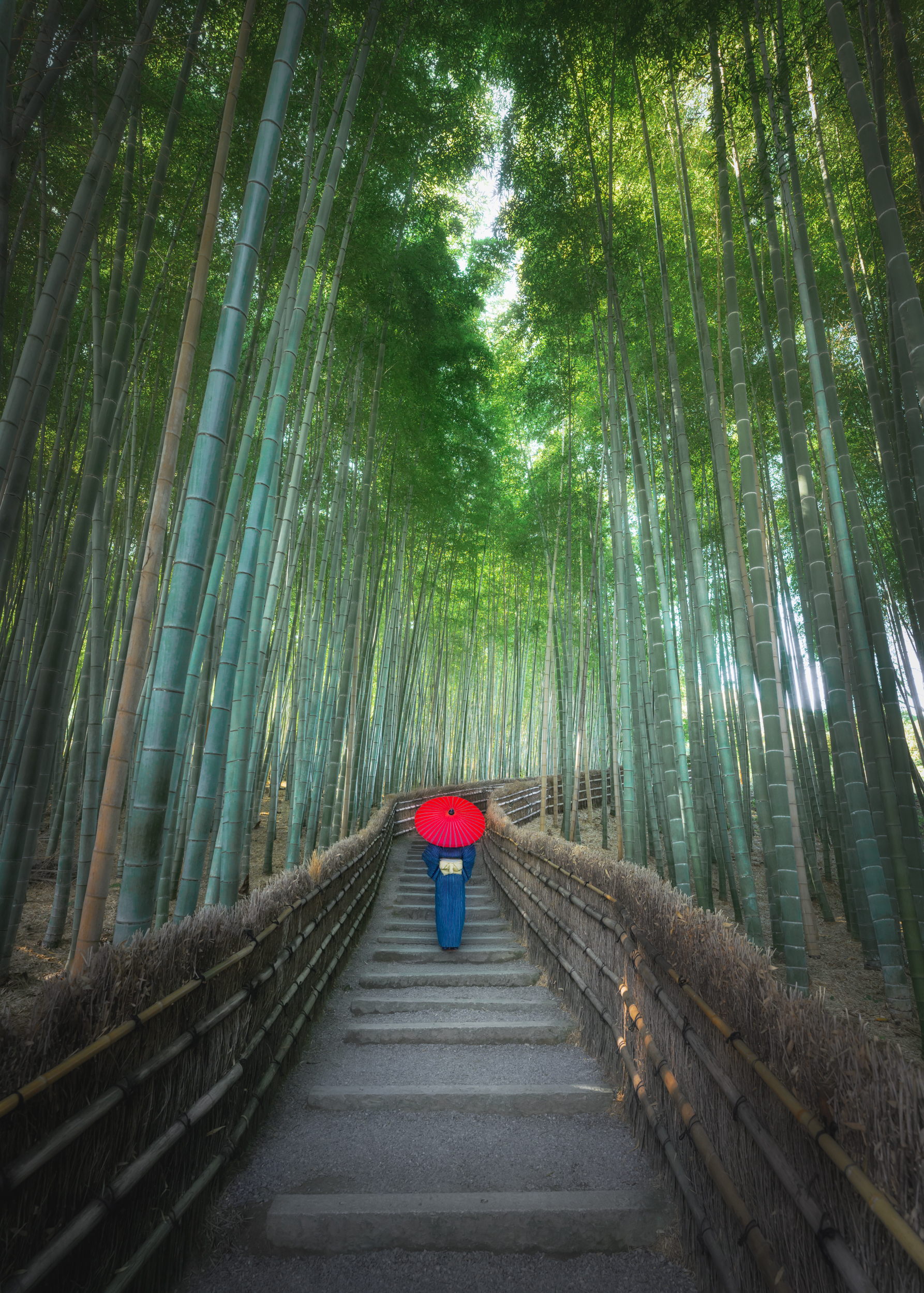 Красные клены в стране самураев (15/40)