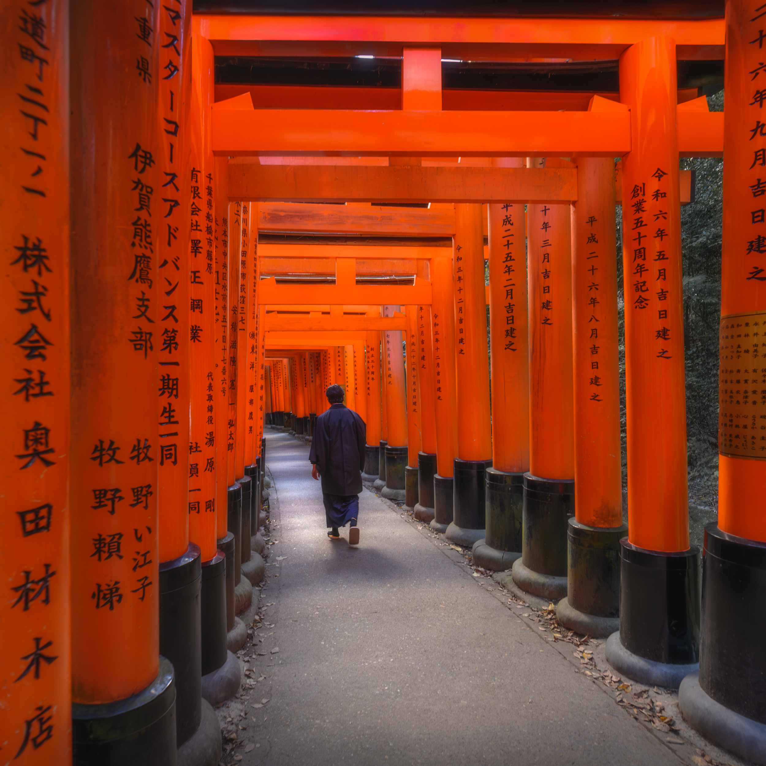Красные клены в стране самураев (18/40)
