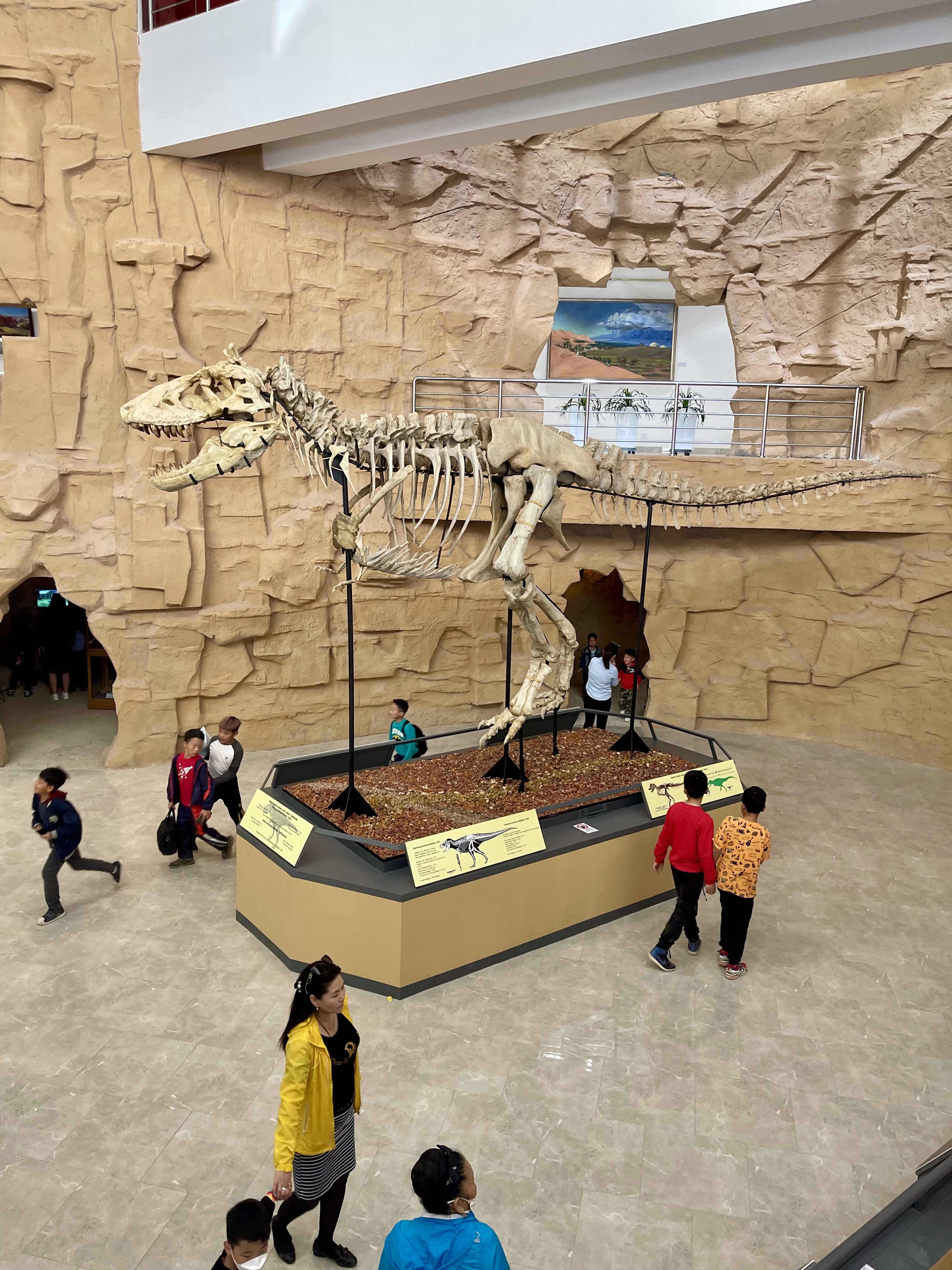 К труднодоступному сердцу Гоби. Большой кольцевой маршрут. Комфорт-тур без палаток. (8/34)