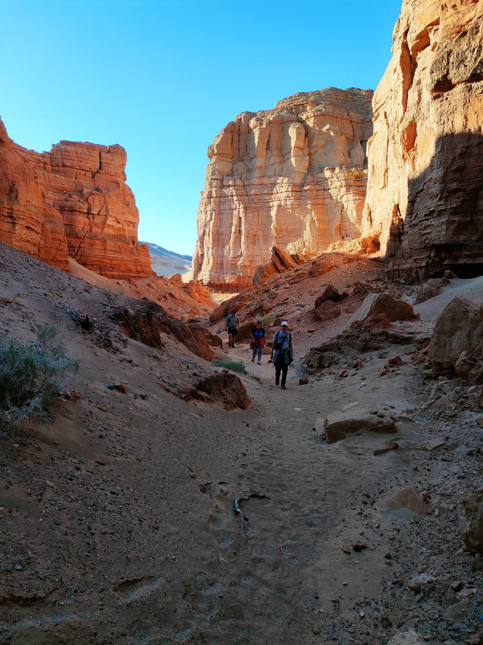 К труднодоступному сердцу Гоби. Большой кольцевой маршрут. Комфорт-тур без палаток. (16/34)