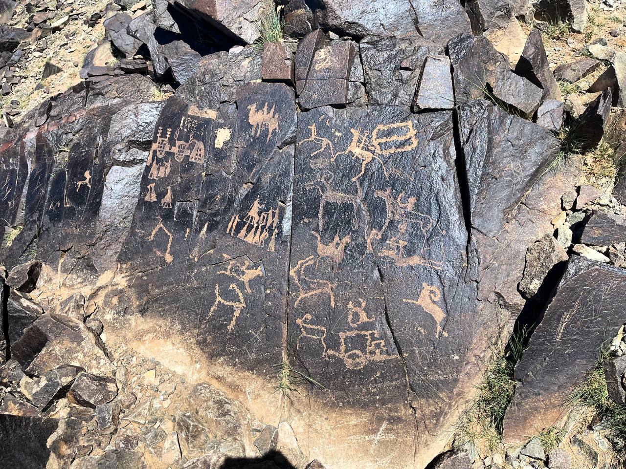 К труднодоступному сердцу Гоби. Большой кольцевой маршрут. Комфорт-тур без палаток. (9/34)