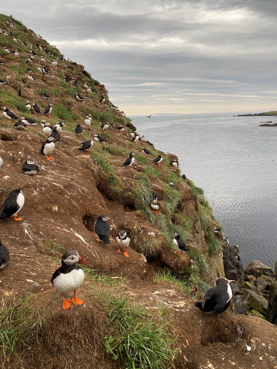 Автотур по Исландии (44/45)