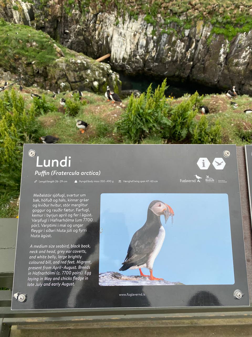 Автотур по Исландии (38/45)