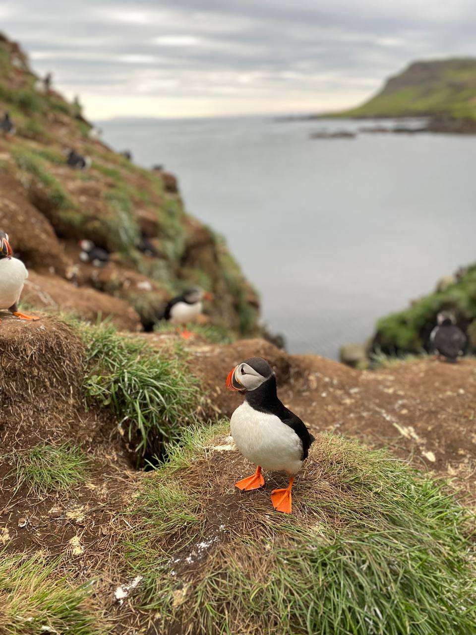 Автотур по Исландии (37/45)