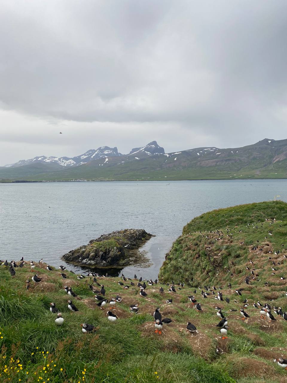 Автотур по Исландии (40/45)