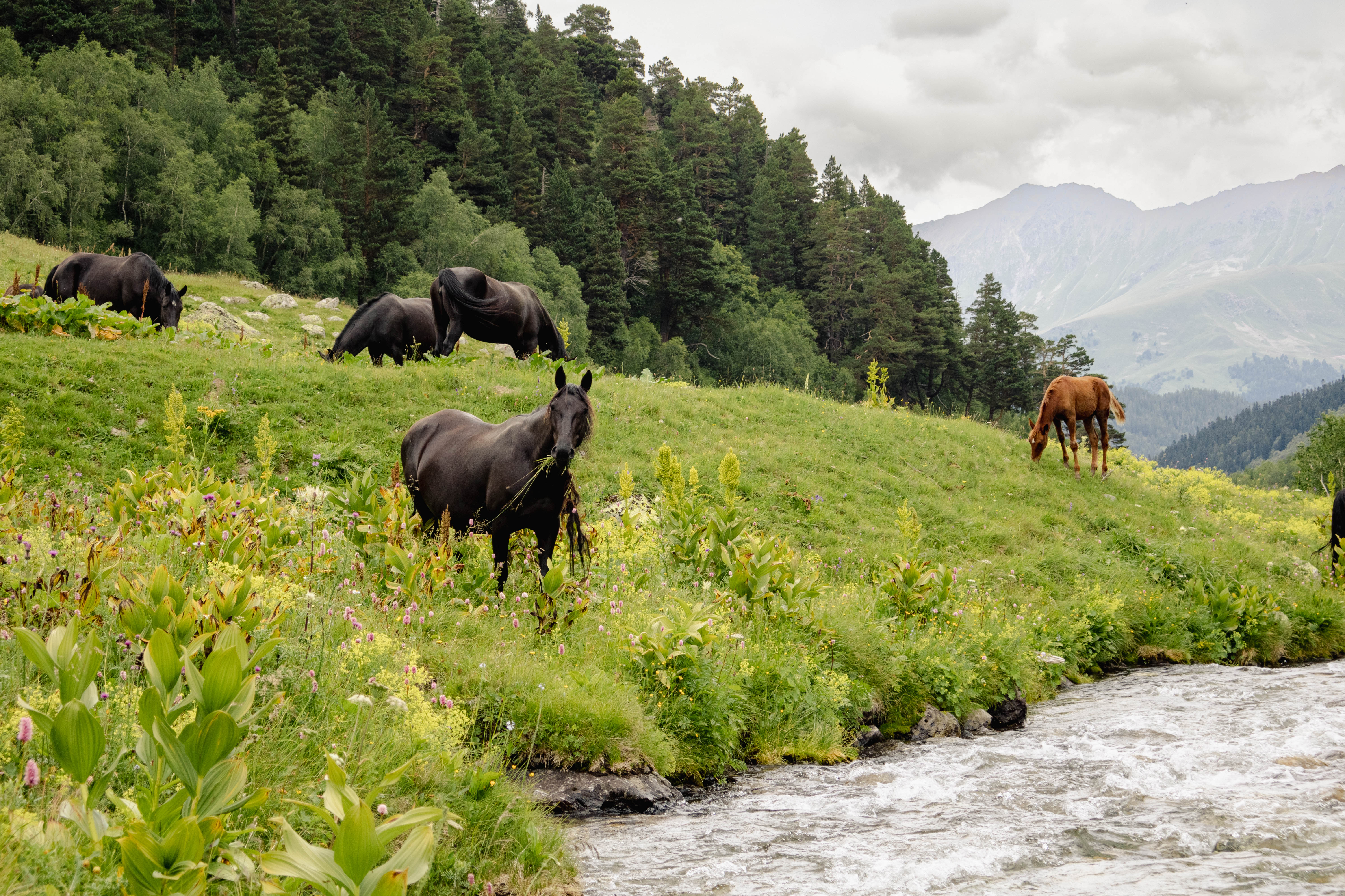 Заключительный день