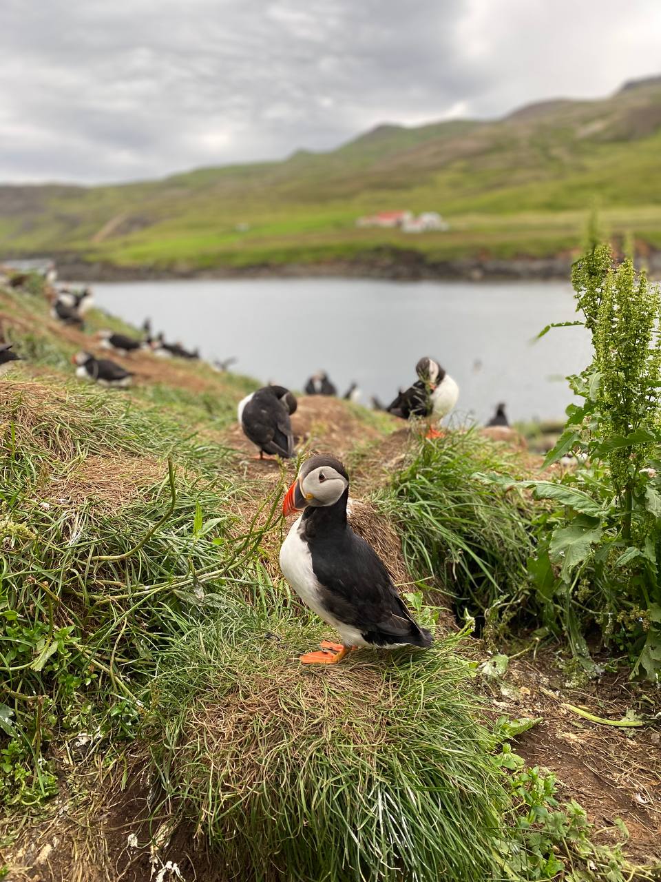 Автотур по Исландии (42/45)