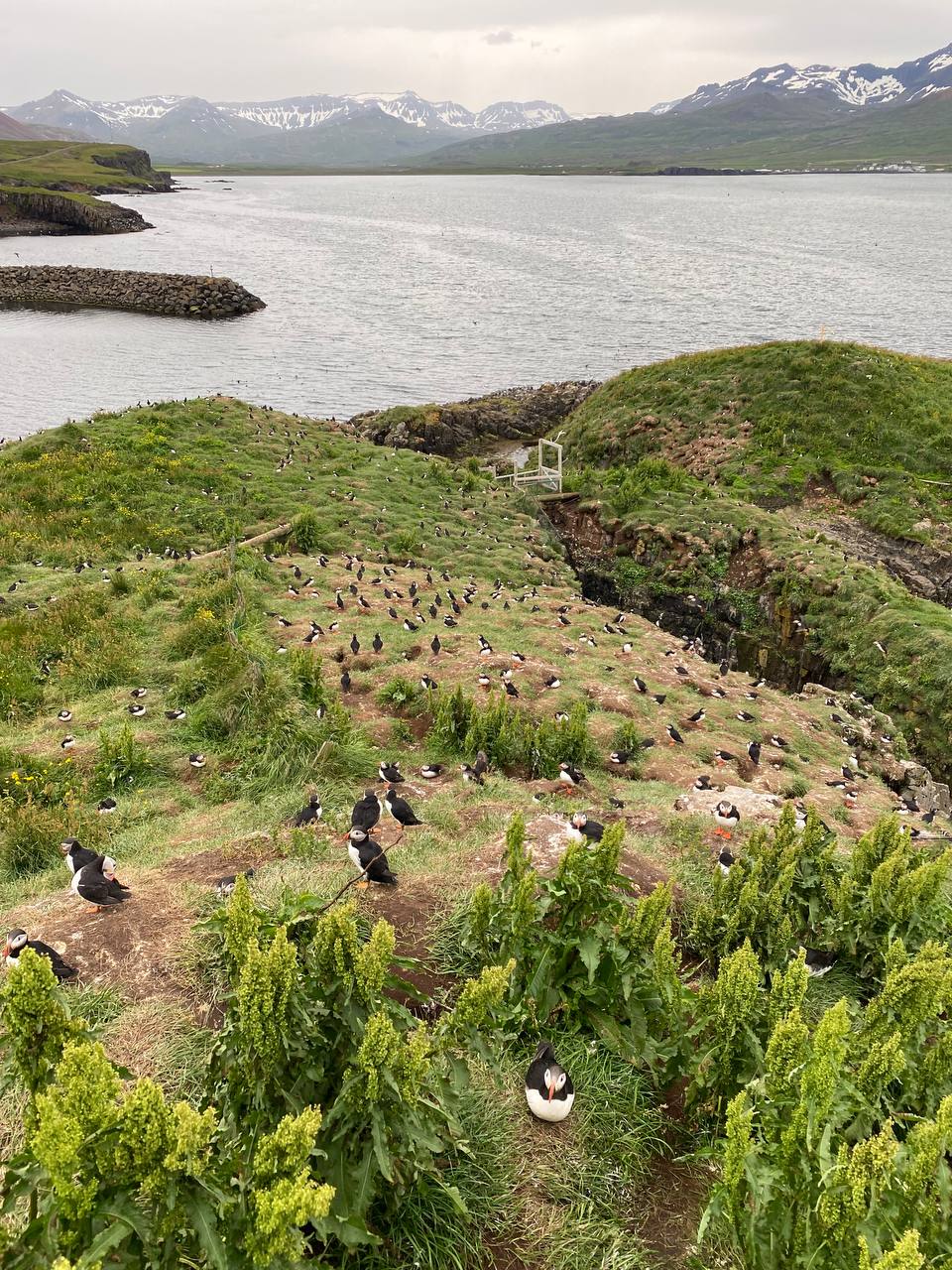 Автотур по Исландии (45/45)