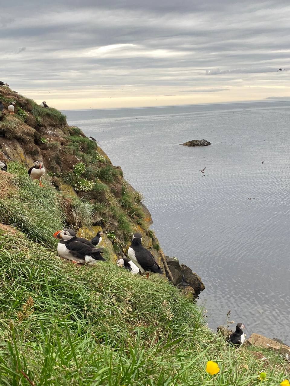 Автотур по Исландии (41/45)