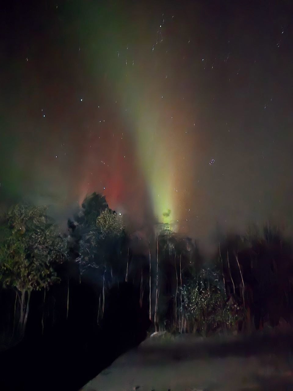 Аметистовый берег Арктики.  Все включено! (45/67)