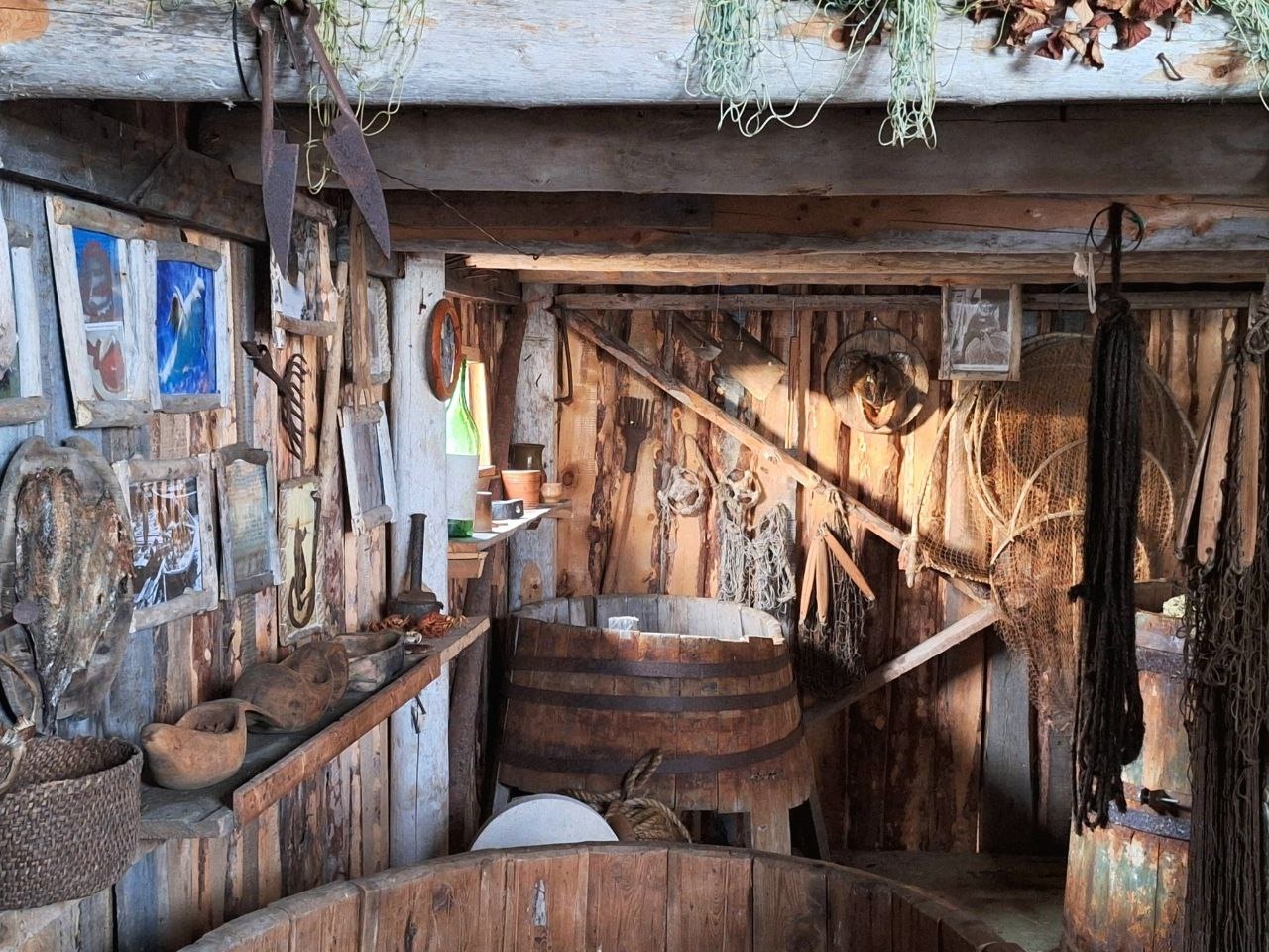 Аметистовый берег Арктики.  Все включено! (27/67)