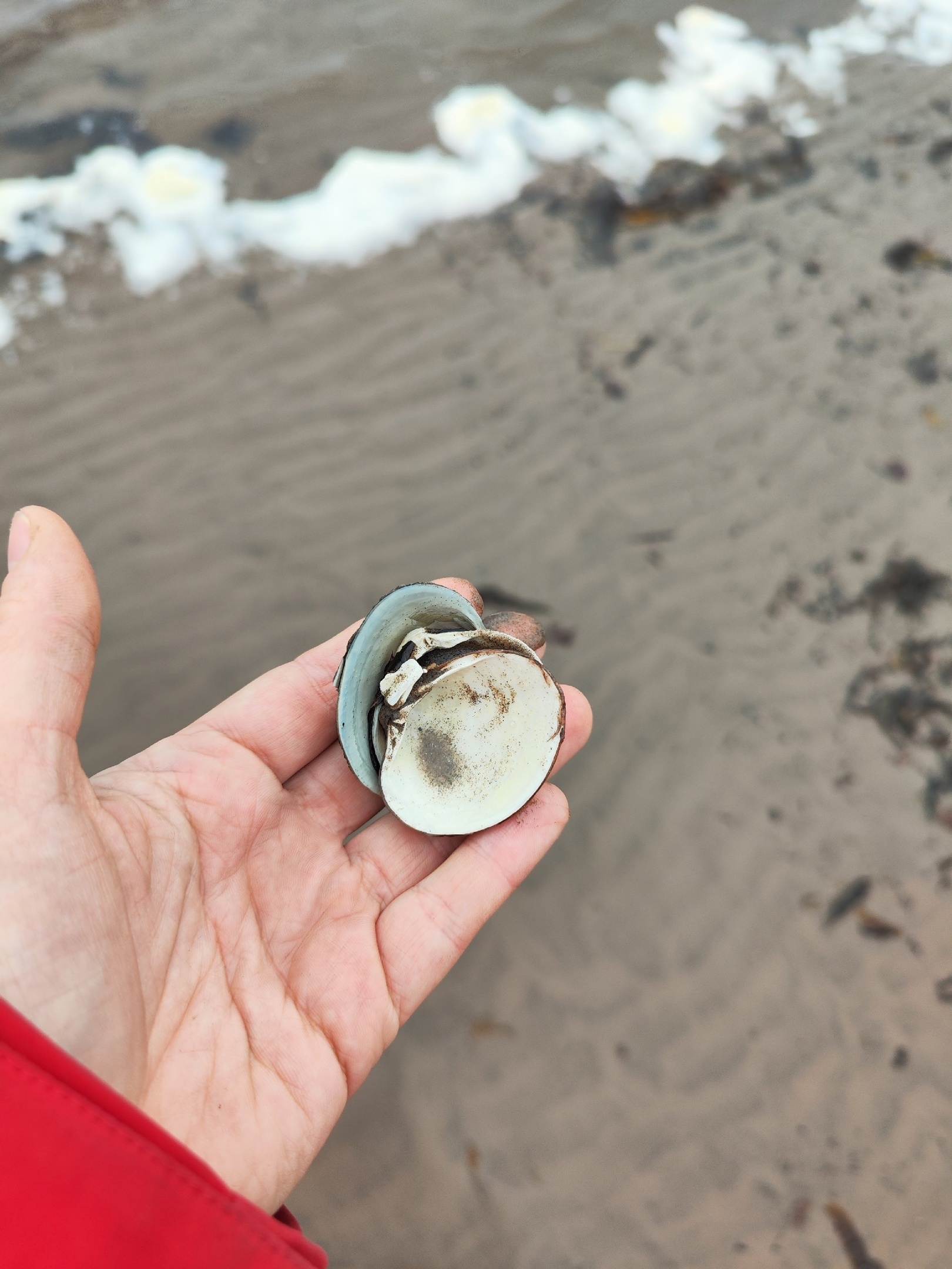 Аметистовый берег Арктики.  Все включено! (41/67)