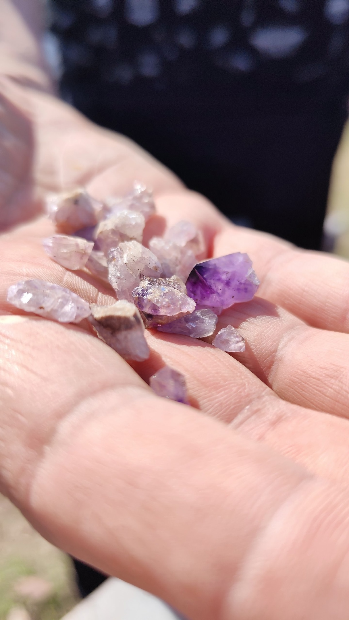 Аметистовый берег Арктики.  Все включено! (37/67)