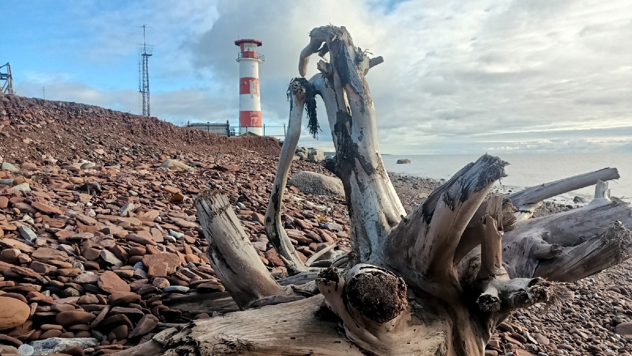 Аметистовый берег Арктики.  Все включено! (14/67)