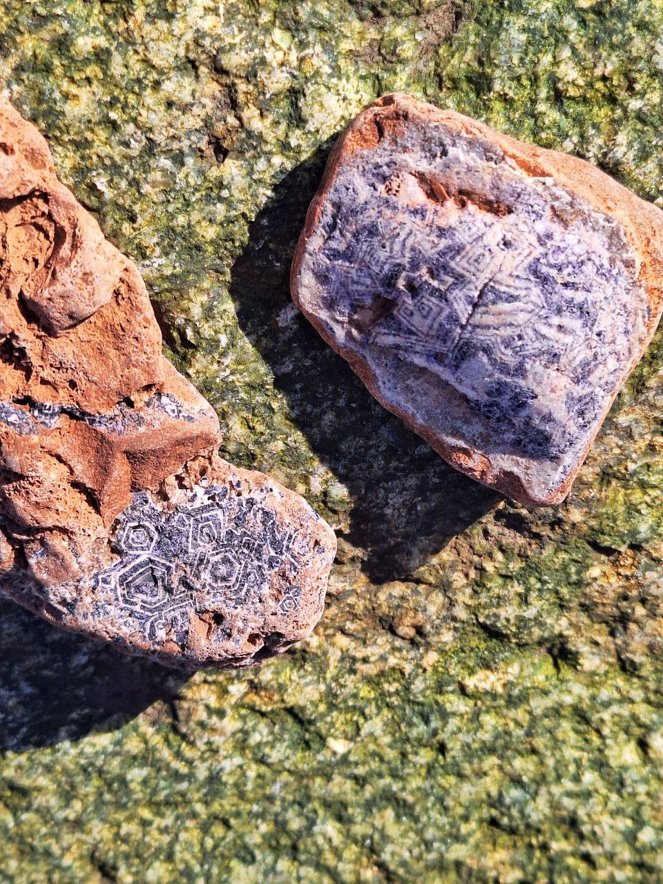 Аметистовый берег Арктики.  Все включено! (48/67)