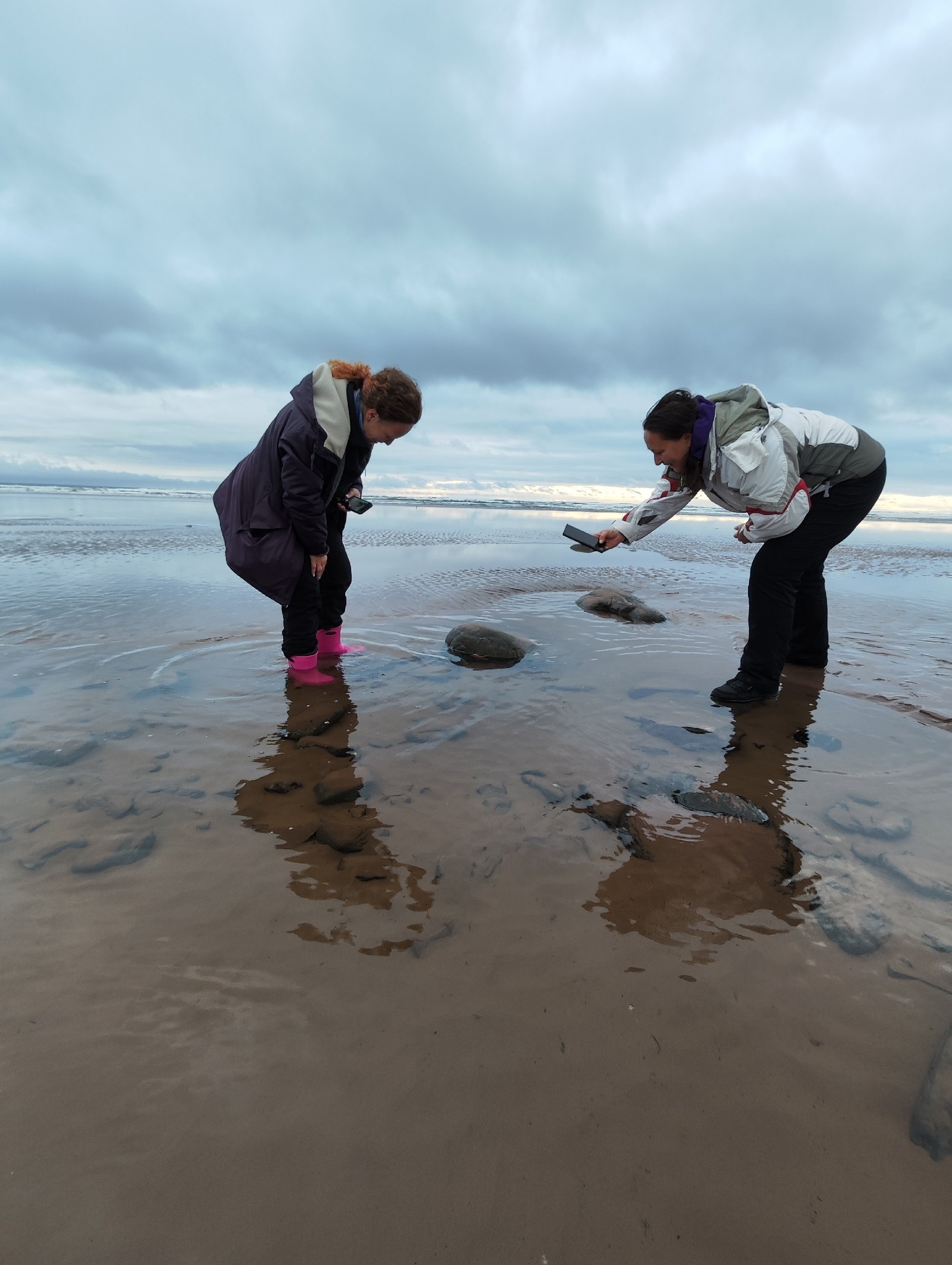 Аметистовый берег Арктики.  Все включено! (39/67)