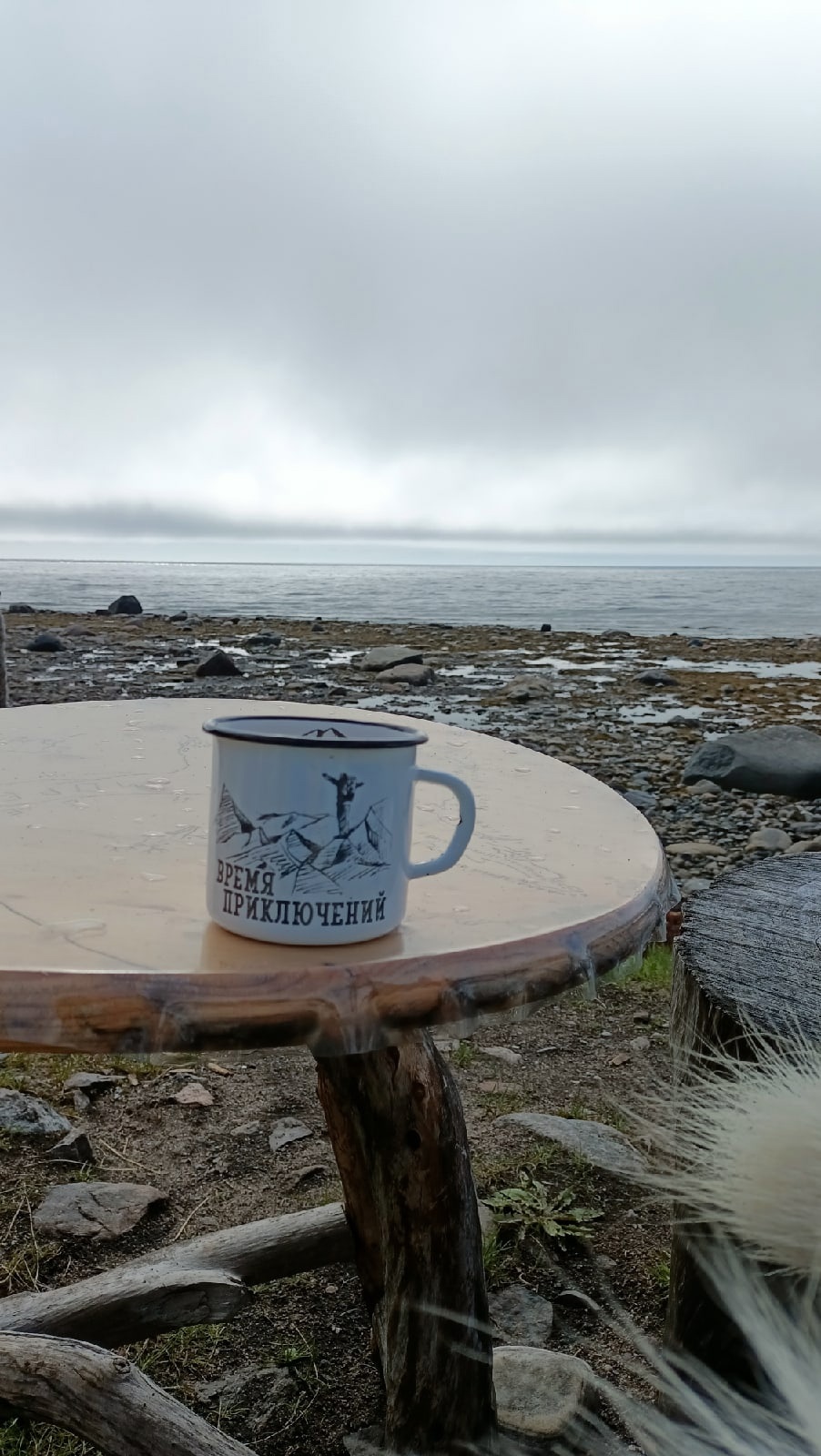 Аметистовый берег Арктики.  Все включено! (32/67)