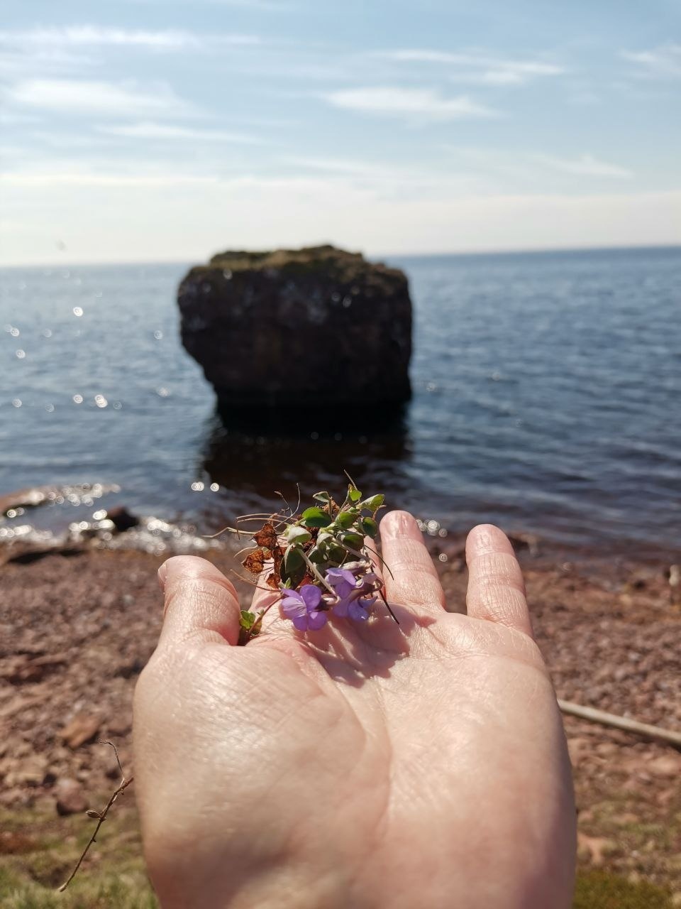 Аметистовый берег Арктики.  Все включено! (31/67)