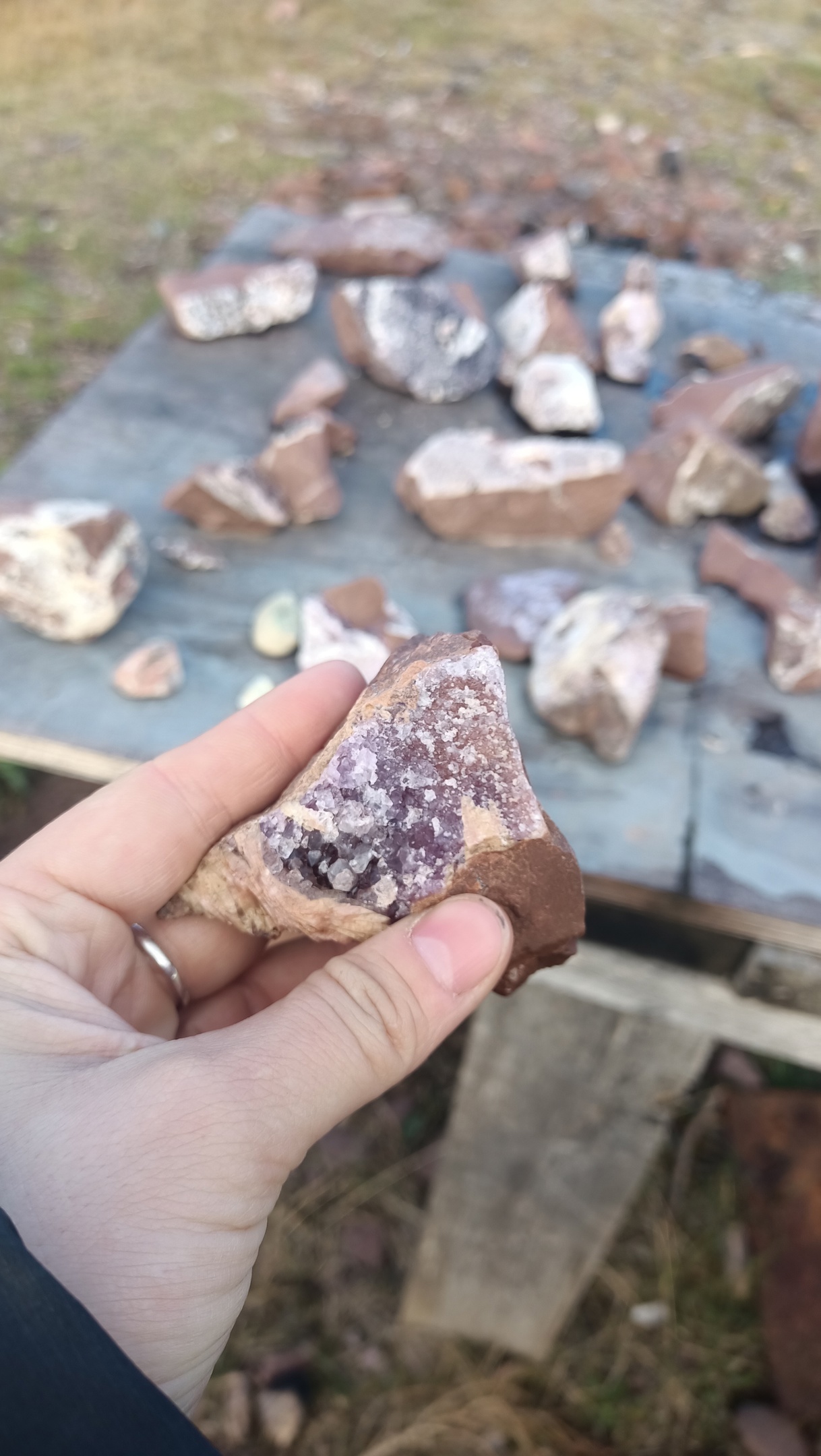 Аметистовый берег Арктики.  Все включено! (38/67)