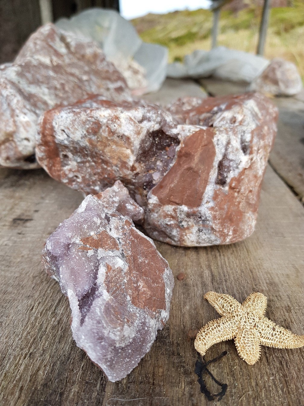 Аметистовый берег Арктики.  Все включено! (22/67)