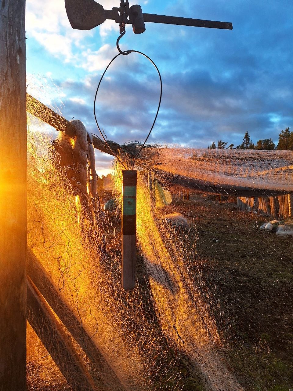 Аметистовый берег Арктики.  Все включено! (17/67)