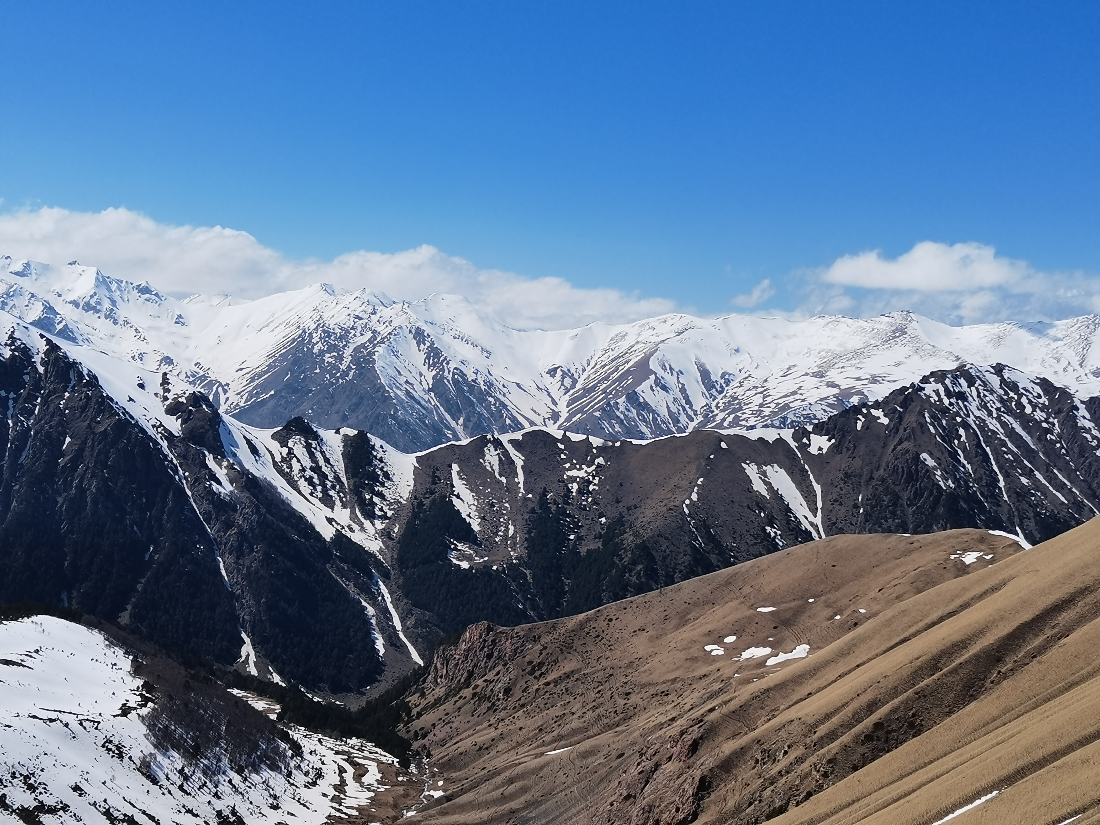 Весна на Кавказе (поход из Теберды в Архыз) (12/32)