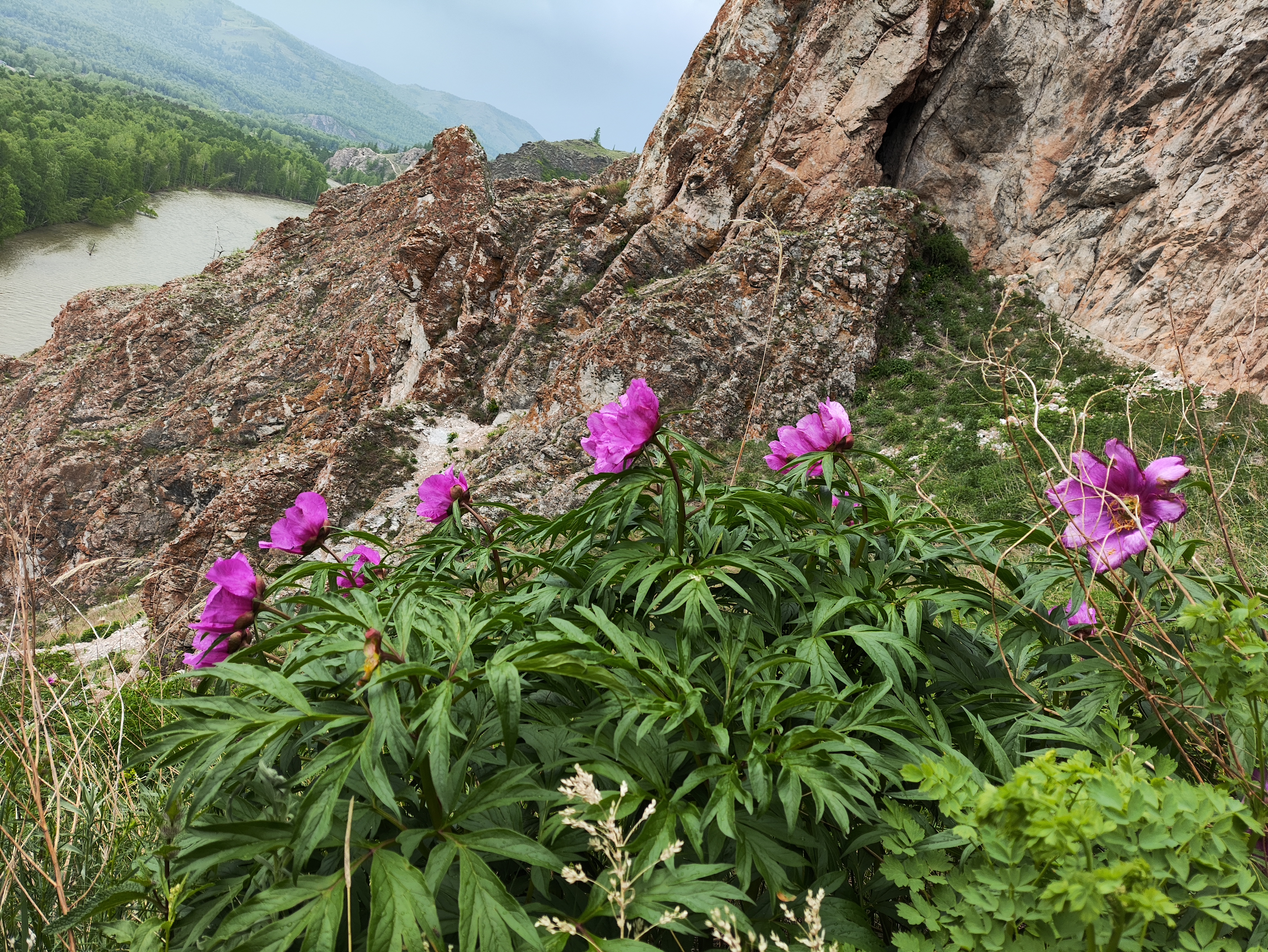 Волшебная Хакасия + Ергаки. 7 дней. (29/41)