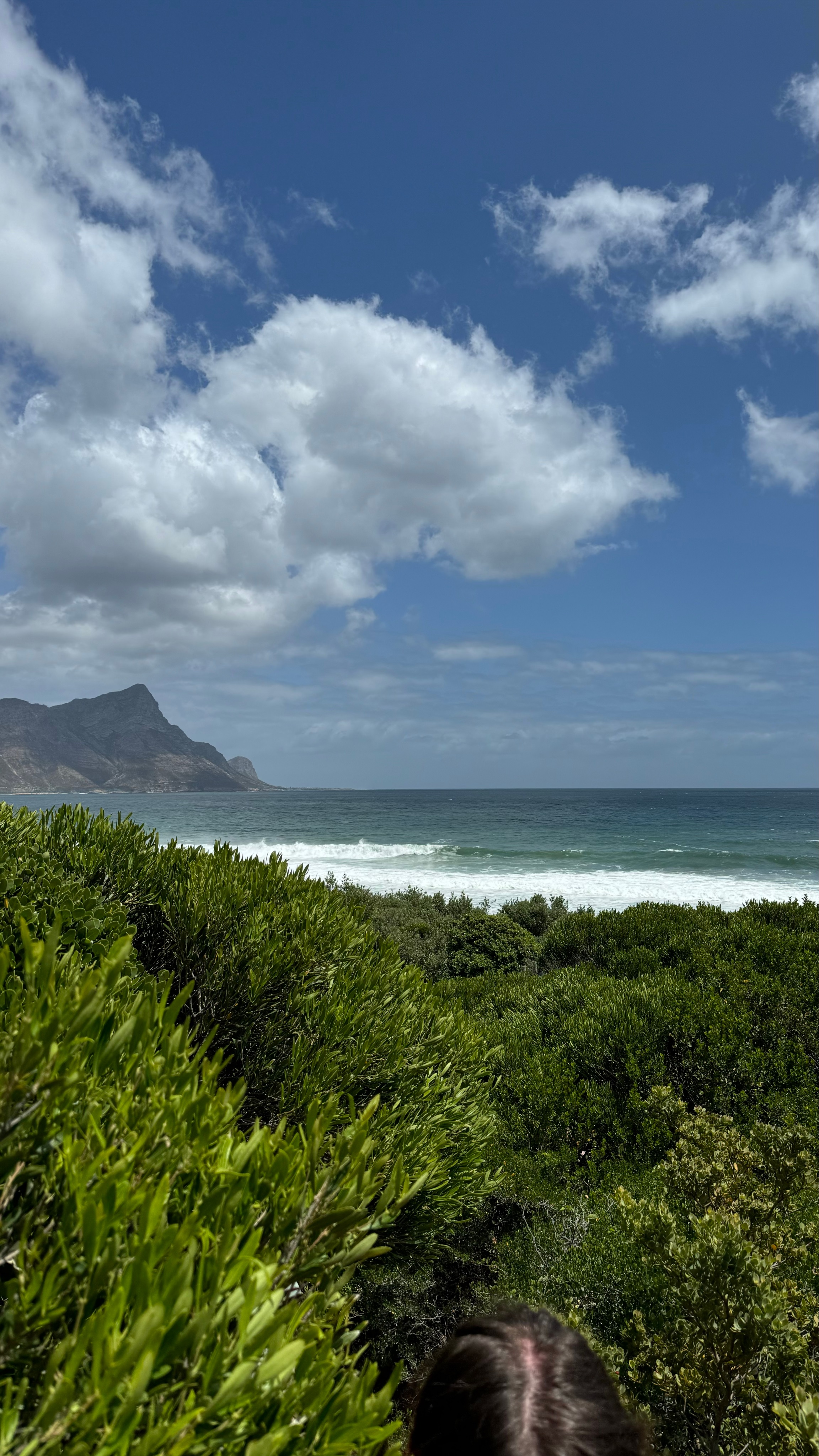 Юг Африки - Юар Замбия Зимбабве Ботсвана (9/54)