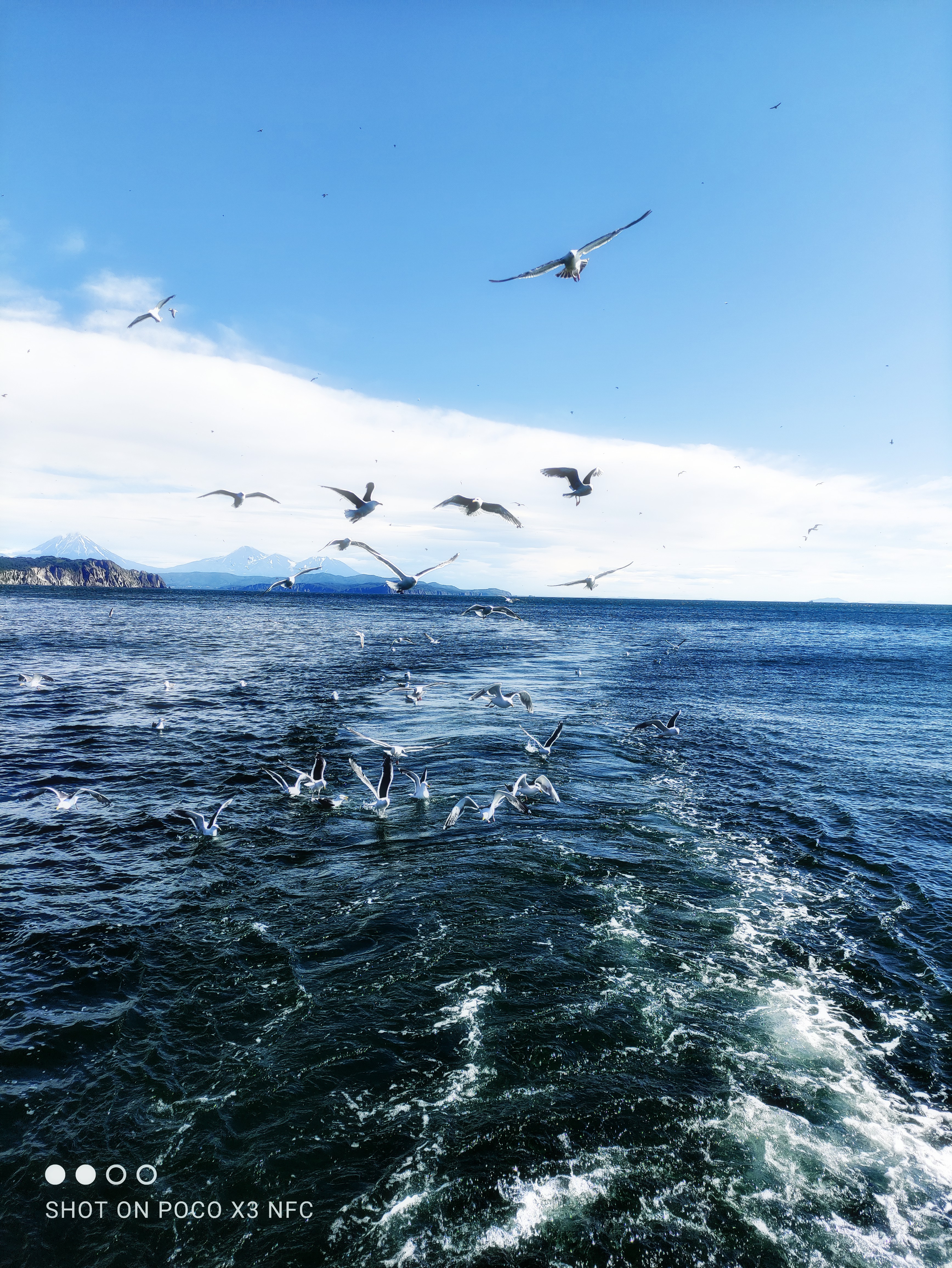 Камчатка за неделю (37/50)