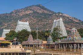 7-и дневный тур по местам силы в Индии (13/14)