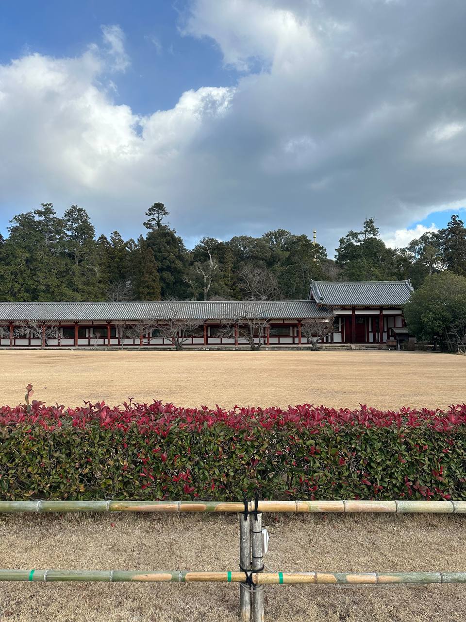 Новогодняя Япония (38/49)