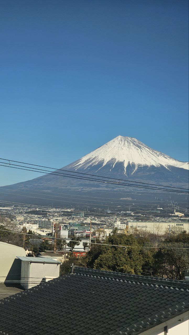 Новогодняя Япония (35/49)