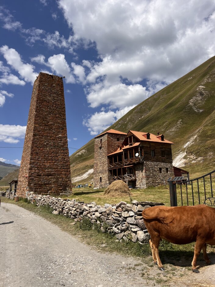 Активный тур в Грузии. Казбеги (8/35)