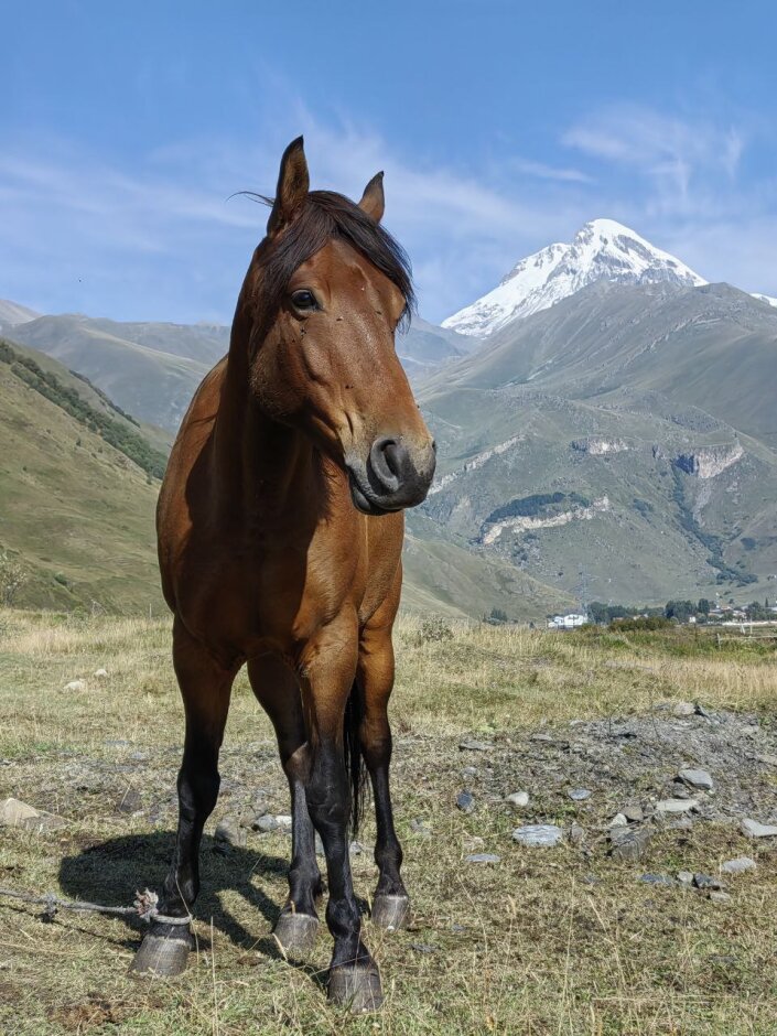 Активный тур в Грузии. Казбеги (13/35)