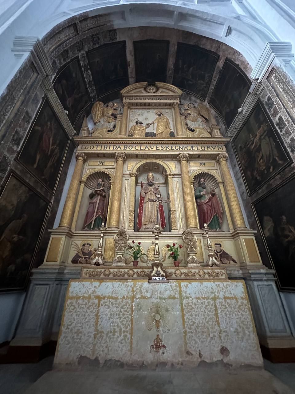 Волшебная Индия с Гоа (129/170)