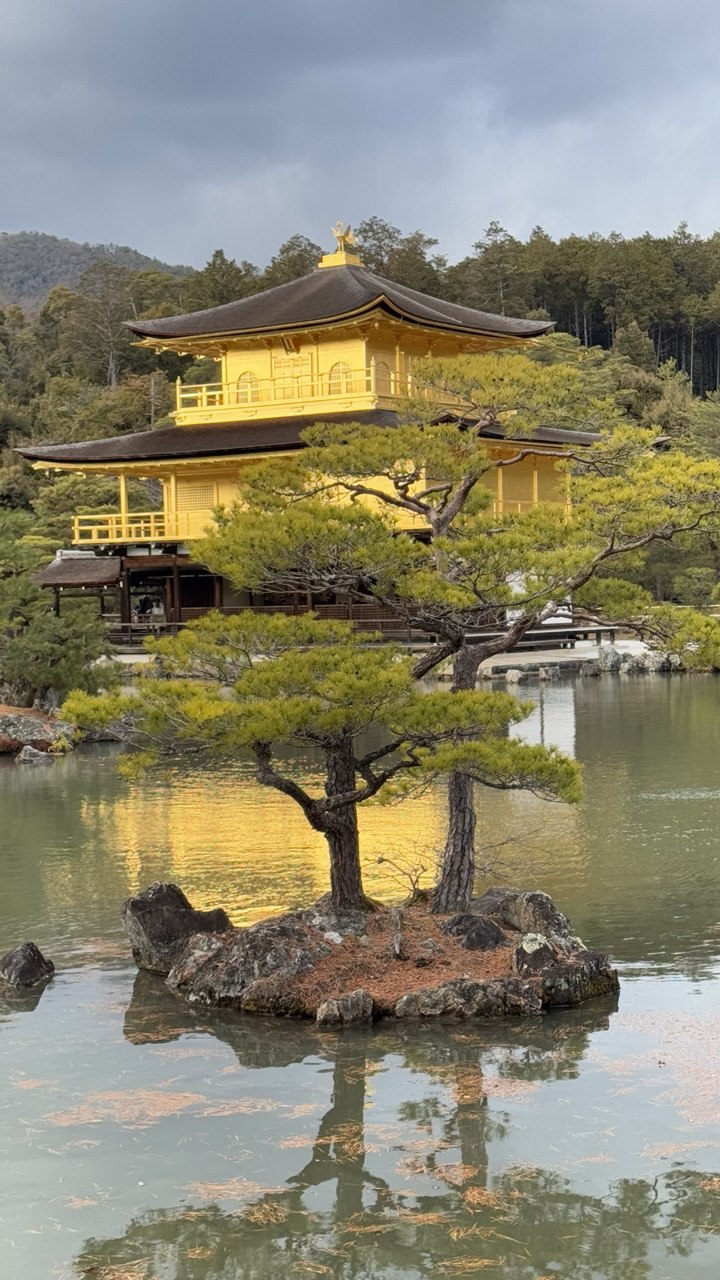 Новогодняя Япония (21/49)