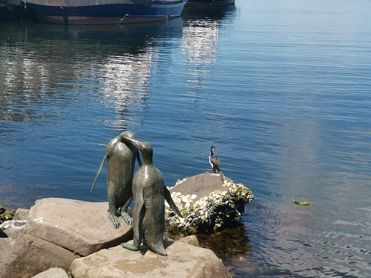 Австралия и Тасмания (37/41)