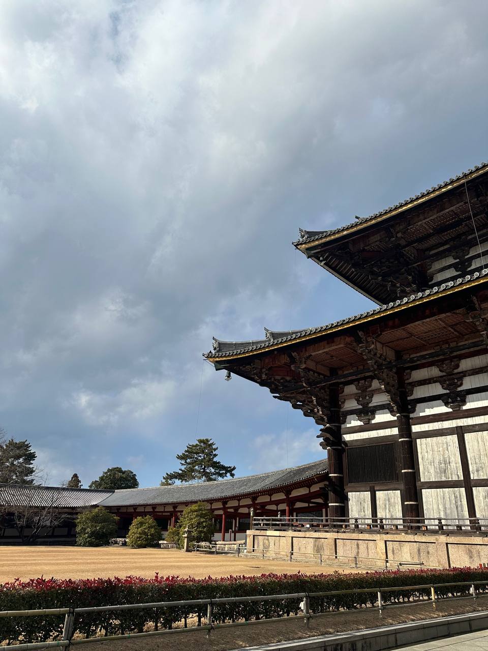 Новогодняя Япония (22/49)