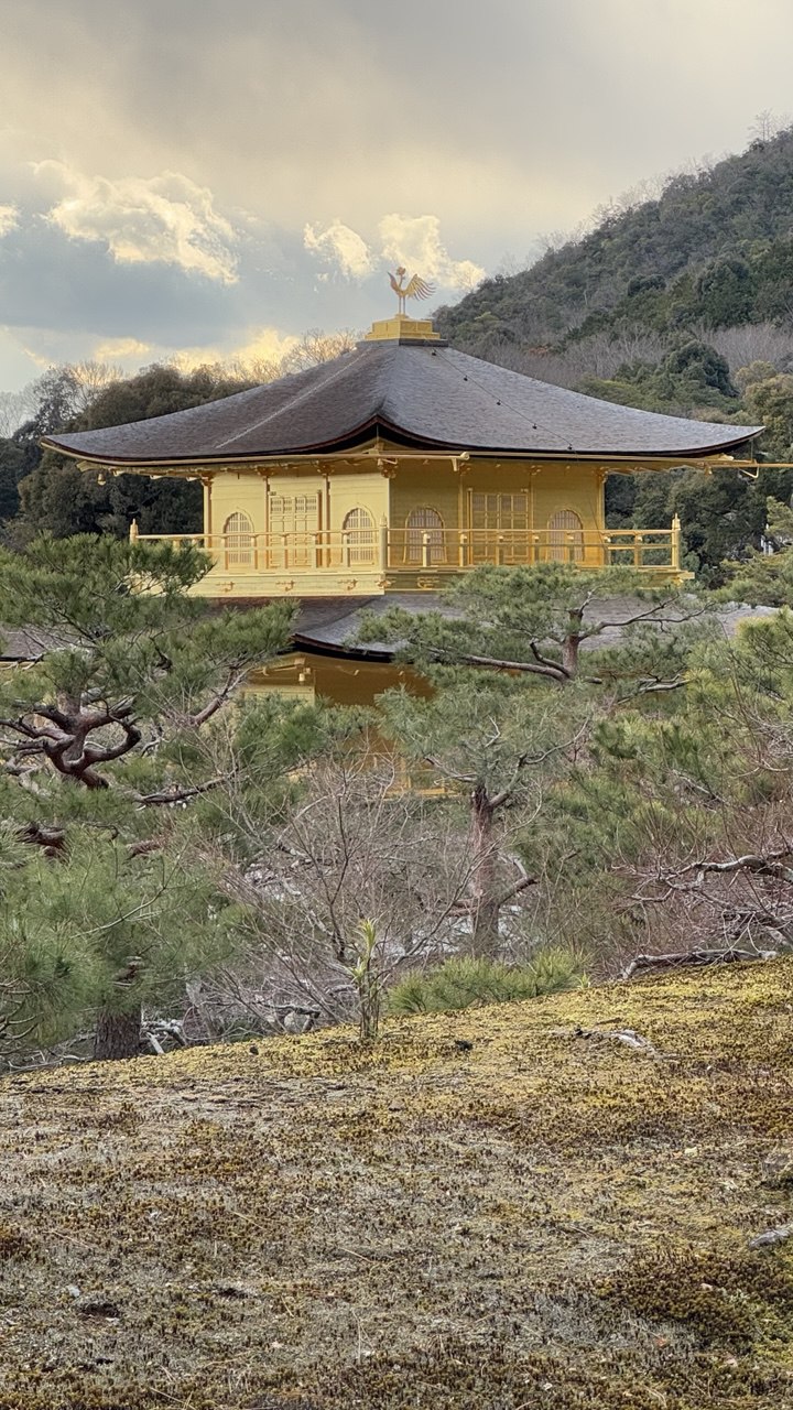 Новогодняя Япония (24/49)