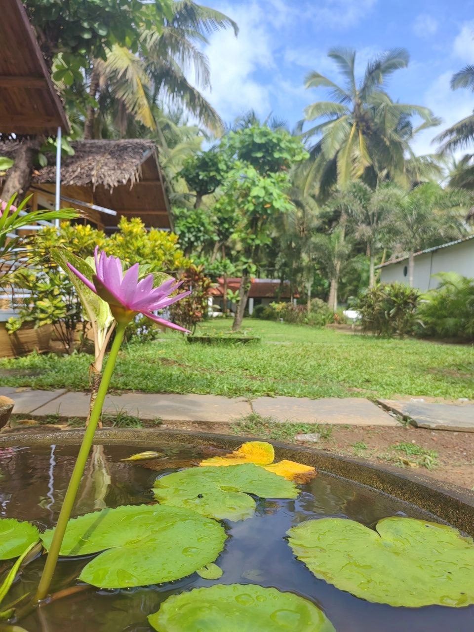 Волшебная Индия с Гоа (93/170)