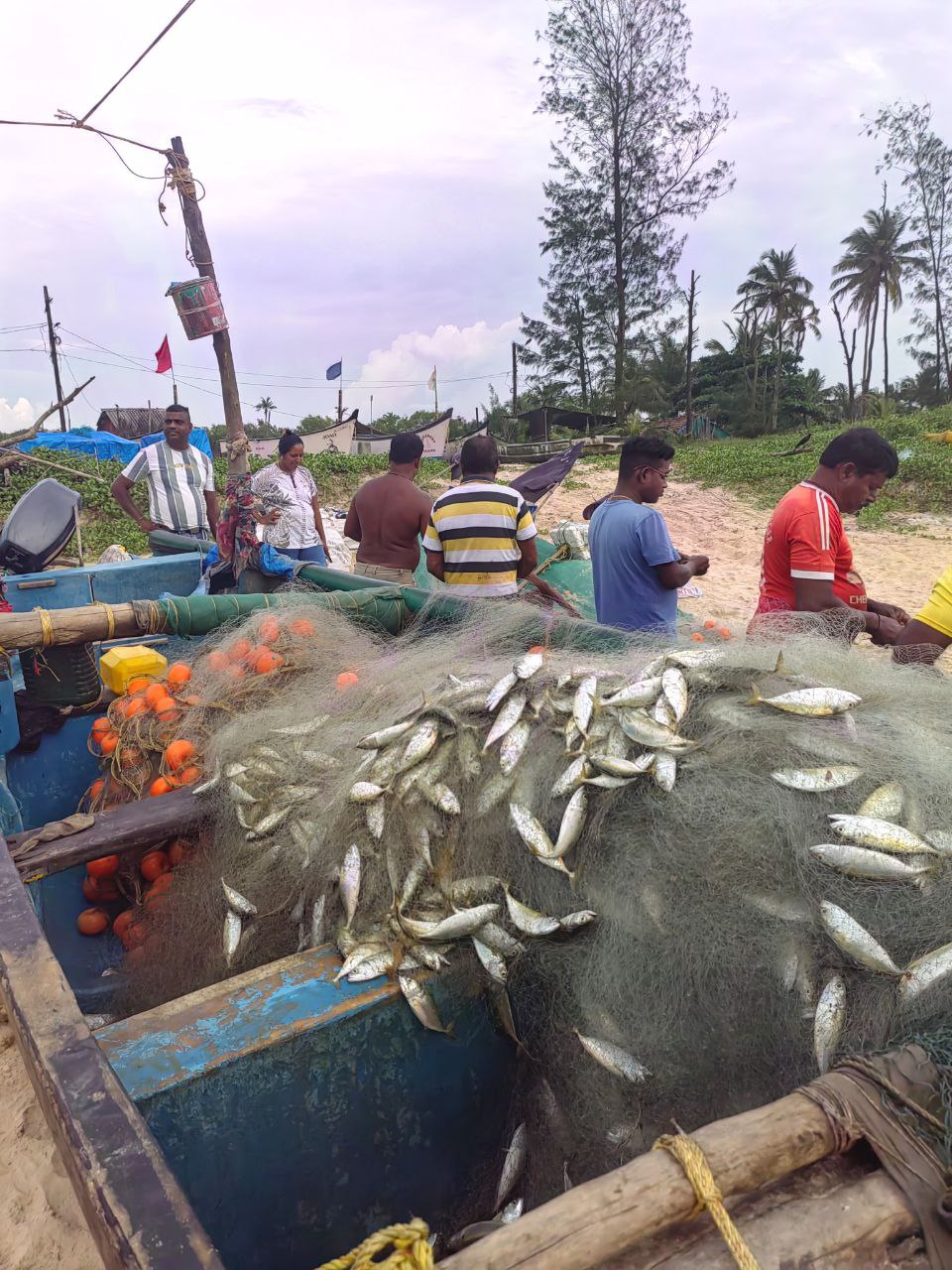 Волшебная Индия с Гоа (115/170)