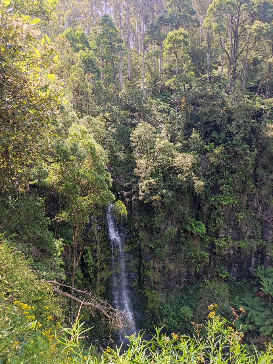 Австралия и Тасмания (34/41)